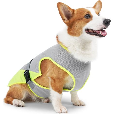 Gilet Rafraîchissant Pour Chien - Tissu Réfrigérant Sans Produit Chimique - Maille Respirante UV Protection - Pour Activités Extérieures - Taille S à XL (1/5)