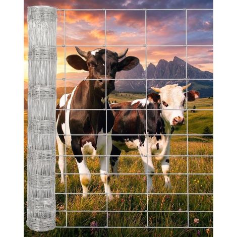 Fil Galvanisé Robuste – Fermeture En Filet Décorative Pour Jardin, Abri d'Animaux, Protection Contre Serpents Et Oiseaux – Durable, 1.550M (1/5)