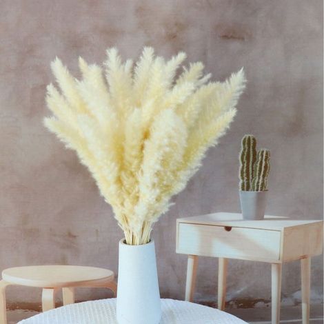Bouquet de 30 pièces de pampa naturelle de 60 cm, idéal pour les compositions florales avec éléments décoratifs - Blanc cassé (1/5)