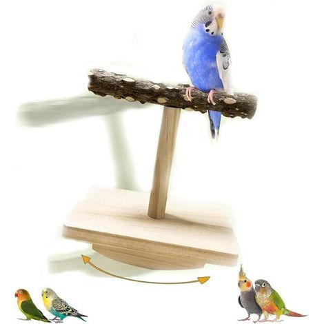 Ensemble perchoir et jouet intelligent en bois naturel pour oiseaux – Plateforme d'entraînement pour perruches, conures et calopsi,b (1/5)