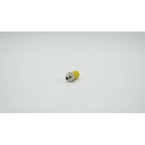 BWT UV-Sensor UVCS I mit Kalibrierung, 1-406770