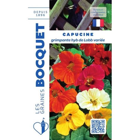 Capucine grimpante Hyb de Lobb variée - 5g