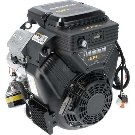 Moteur BRIGGS & STRATTON 38E3470018G1