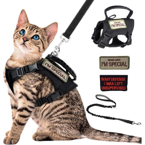 Beyamis Ensemble de sangles de poitrine tactiques d'extérieur respirantes et réglables pour chat, noir (1/5)