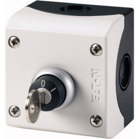 Eaton M22-WRS/KC11/I 216526 Schlüsseltaster    Grau 1 St.