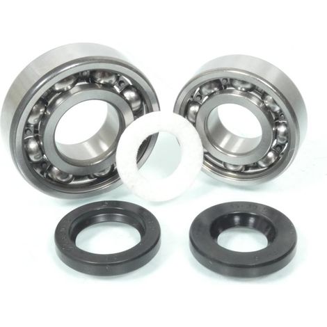 Lager oder Dichtung spi Motor polini für Moped Peugeot 50 103 mvl (1/2)