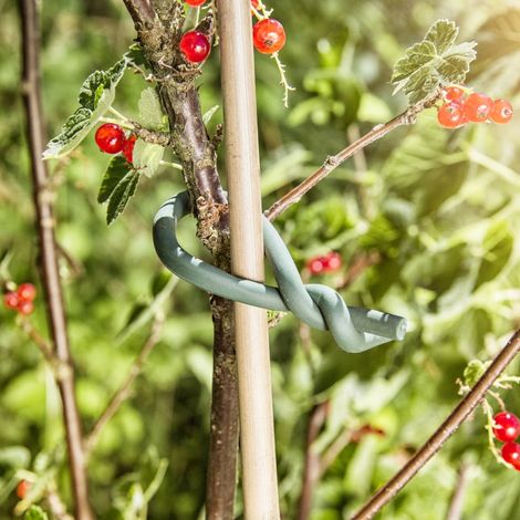 Windhager Gartendraht mit Gummimantel 5 m Rankhilfen