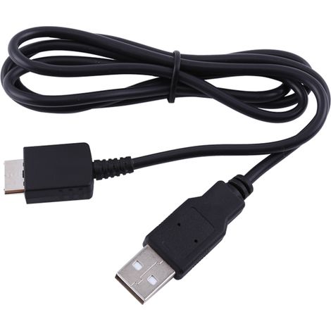 Câble de charge et transfert USB 2.0 pour lecteurs audio et vidéo portables (1/5)
