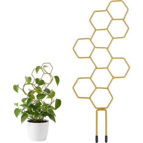 Petit treillis pour plantes en pot, treillis de 35 cm pour plantes grimpantes d'intérieur en nid d'abeille en métal pour plantes grimpantes Hoya (1/4)
