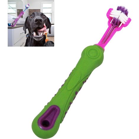 Tête triple brosse à dents pour animaux Teddy chien soins dentaires chat nettoyage fournitures (1/5)