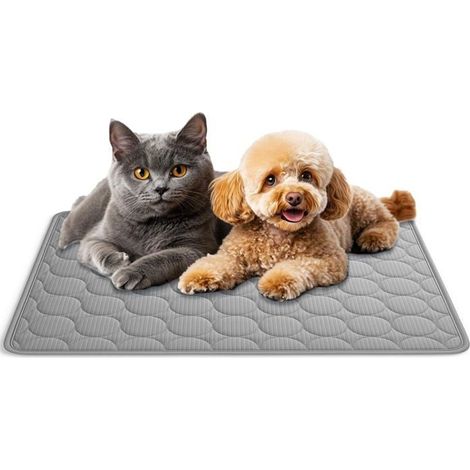 Tapis Rafraîchissant pour Chien et Chat – Coussin de Refroidissement Réutilisable, Tapis Antidérapant Polyvalent , Gris 60 x 50 cm (1/5)