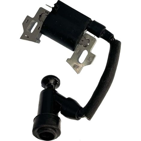 Bobine d'allumage compatible avec tondeuse Einhell GC-PM 51/2 S HW SE (1/5)