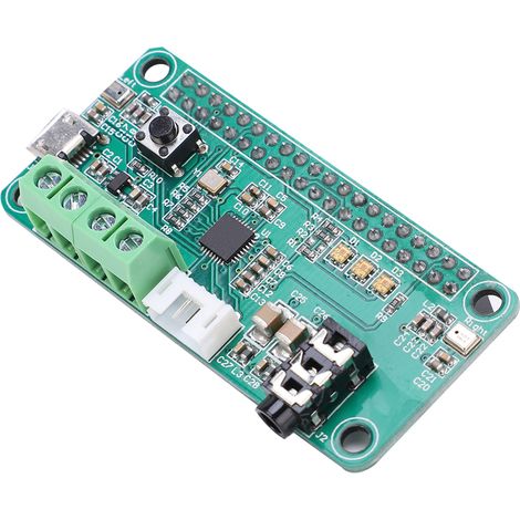 Module audio WM8960 pour Raspberry Pi, reconnaissance vocale intelligente, double micro haut-parleur DIY, kit carte de décodage sonore (1/5)