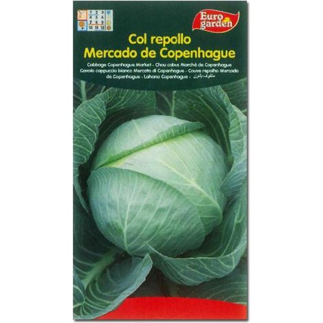 SEMILLAS FITO HORTICOLAS COL REPOLLO MERCADO DE COPENHAGUE=04556