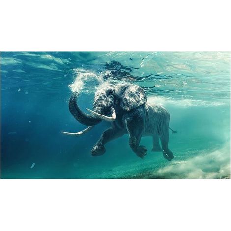 Lupia Quadro Moderno, Vetro Acrilico Plexy, Facile da appendere, da parete, stampa con Colori intensi, prodotto in Italia, 100x150 cm ELEPHANT IN THE WATER (1/4)
