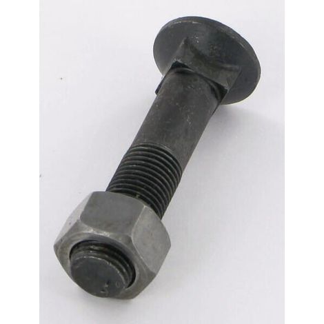Bullone con dado TFCC12X60(83210) GOIZIN 020210