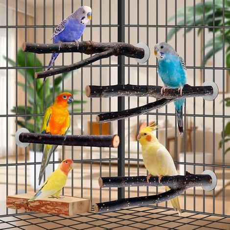 Jouets Perche Perchoir bois Fourche Jouets Multi-branches Perchoir Plateforme Jouet petits conures calopsittes perroquets pinsons (1/4)