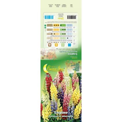 SEMI GARDEN LUPINO PERENNE 10 PZ