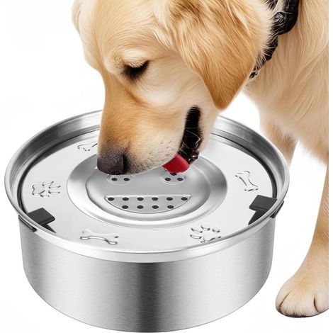 Gamelle anti-éclaboussures - Gamelle pour chien - Acier inoxydable - 1 pièce - Pour usage intérieur - Argent (1/4)