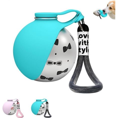 Bouteille d'eau Portable 2 en 1 pour Petits Chiens, Bouteille de Voyage Anti-Fuite de 285 ML avec Bol en Acier Inoxydable et en Silicone, pour la Marche, la randonnée en Plein air (1/5)
