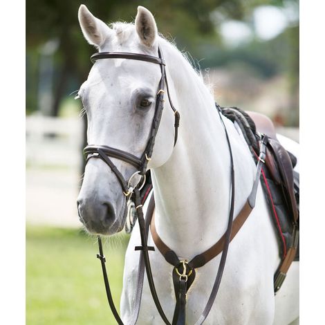 Pettorale inglese in cuoio a Y con elastico e martingala: Cob, Marrone (04)