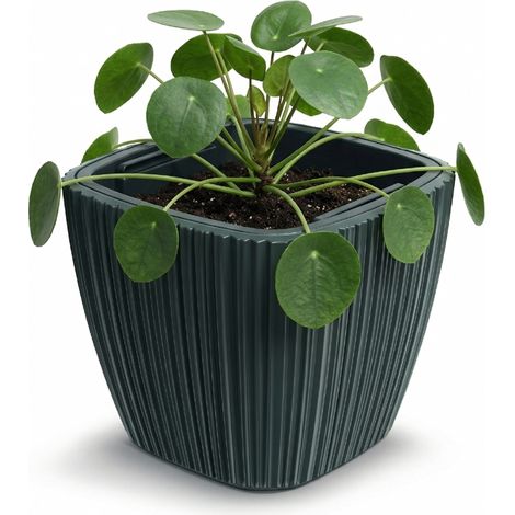 Prosperplast Blumentopf Übertopf Oro herausnehmbar Pflanzeinsatz Pflanzgefäß, Größe: 39,0 cm, Farbe: Dunkelgrau (1/5)