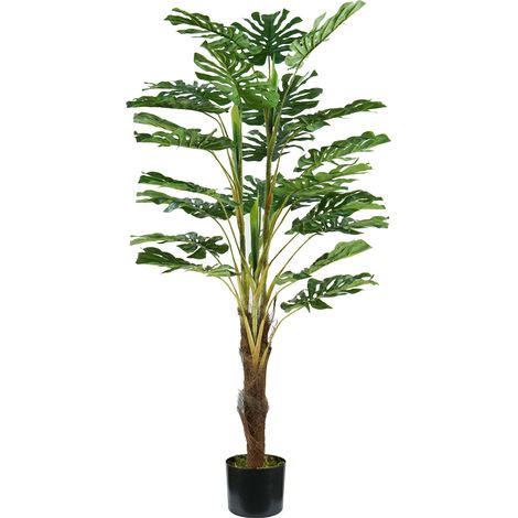 King Home pianta MONSTERA H. 120 cm 24 FOGLIE completa di vaso con muschio (1/3)