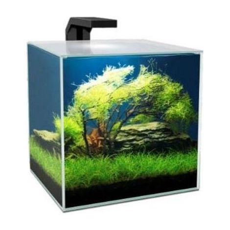 ACUARIO CUBE AQUA 10 LTS. CON FILTRO CF20