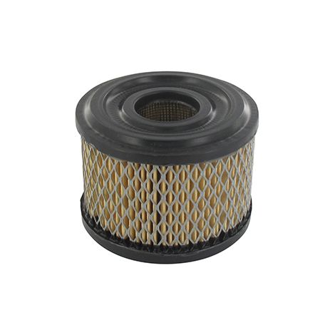 Filtro Air BRIGGS et STRATTON 390492 - 496047