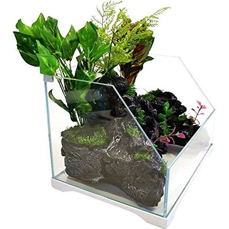 SunSun Aqua Paludarium 30 l - set paludario (1/5)