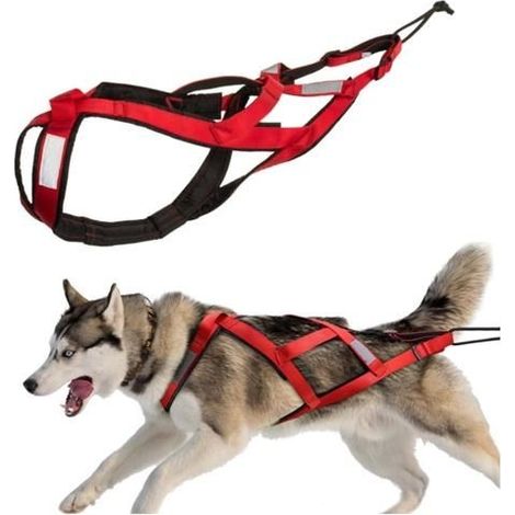 Harnais de traction - Husky - 2XL - Imperméable - Réfléchissant - Confortable (1/5)