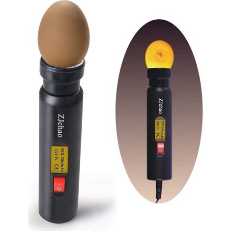 Mire-Œuf Professionnel avec Adaptateur Secteur - Lampe de Candandage LED Haute Luminosité pour le Suivi et le Contrôle de l'Incubation des Œufs (1/5)