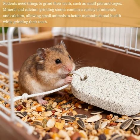 Set of Chewstones for Rodents, Suitable for Teeth of Hamsters, Guinea Pigs, Rabbits, Chinchillas and Parrots (1/4)