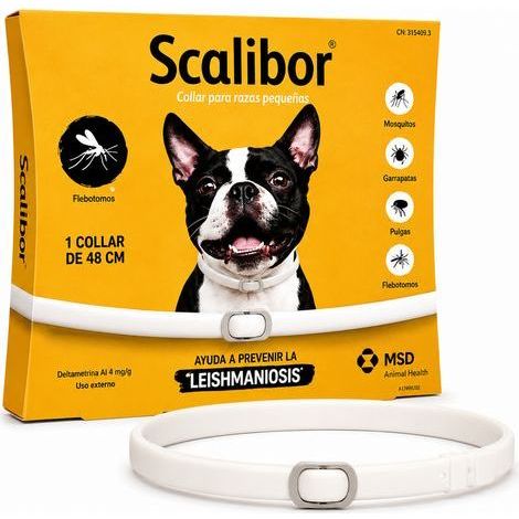 Collier anti-puces et anti-tiques pour chiens, 48 cm, protection 12 mois, collier antiparasitaire imperméable, ajustable pour chiens de petite et moyenne taille