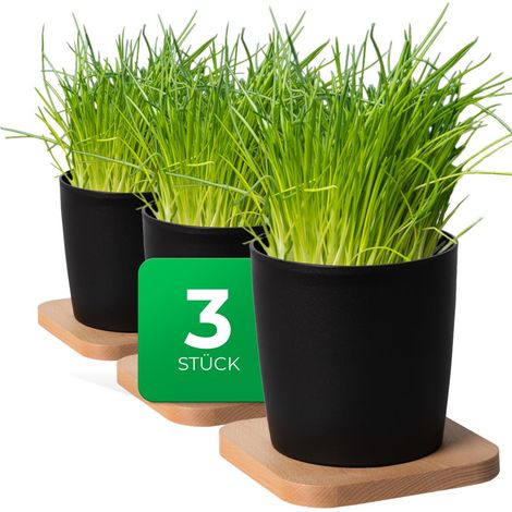 3x Novaliv Kräutertopf  3x Holzbrett, 3x Kräutertöpfe (1/5)