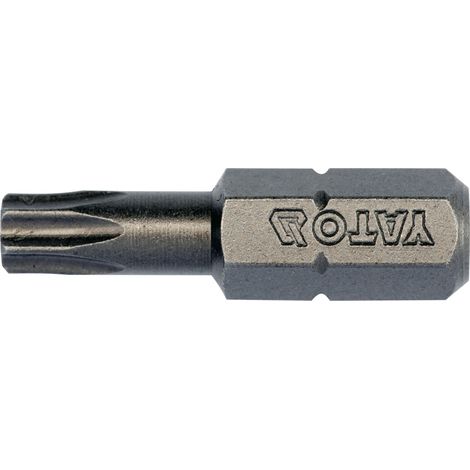 Torx T25 Bitsatz 1/4 Zoll, 25 mm, 10 Stück, S2-Stahl