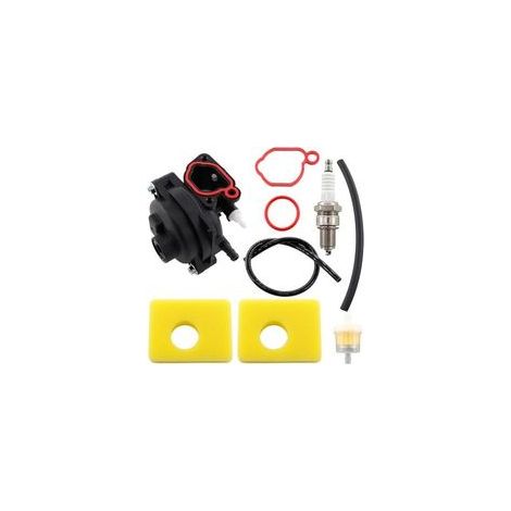 Vergaser kompatibel mit Briggs & Stratton 300E, 450E, 500E, 550E, 575E, 600E OVH, 591979, 595656, 590556 und 591160 Rasenmähermotoren, mit Luftfilter, Kraftstofffilter und Zündkerze. (1/5)