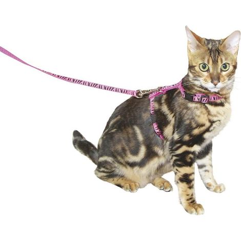 Ensemble de Laisse + Harnais pour Chat Rose 120 cm (1/3)