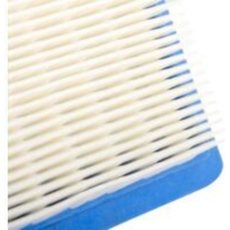 Kit de Réparation de Carburateur - 1 Pièce - Compatible avec Moteurs Briggs & Stratton Série Max 3,5 CV et 4 CV - Références 498260 493762 490937