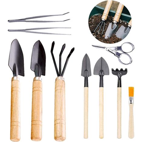 Ensemble d'outils de jardinage mini pour plantes succulentes et transplantation (1/5)