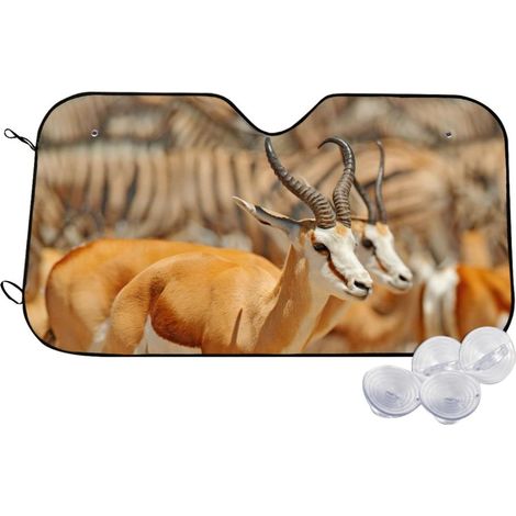 Couverture De Pare-Soleil Pin Petits Grands Arbres Protecteur (1/5)