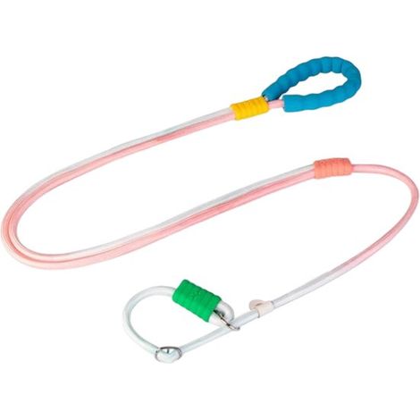 Leine mit integriertem Halsband – 145 cm – Durchmesser 1 cm – Blau (1/5)