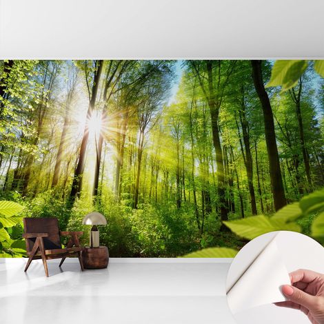 Carta da parati autoadesiva - Fotomurale adesivo - soggiorno moderno - resistente - Luce del bosco 416x254 cm (1/5)