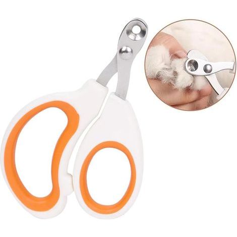 Krallenschere mit runder Schneidöffnung – Vermeiden Sie zu kurze Krallen bei Ihrem Haustier. Krallenschere für unerfahrene Tierhalter (orange). (1/4)