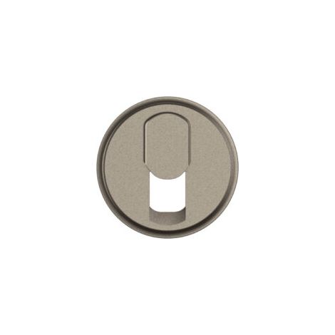 ENJOLIVEUR PRISE RJ45 TITANE Céliane 2024 - CT0340 - Legrand (1/2)