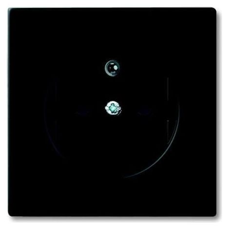 Plaque Centrale Pour Prise De Courant Noir Mat 2CKA002099A0256 ABB 587158