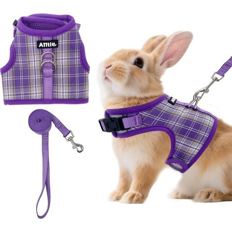 Rabbit Harness and Leash, Padded Plaid Vest, Adjustable Double D-Ring, For Small Pets (1/5)