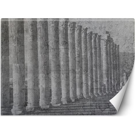 Papier peint colonnes antiques - 368 x 254 cm (1/4)