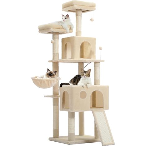Arbre à chat, design multi-niveaux, construction robuste (1/2)