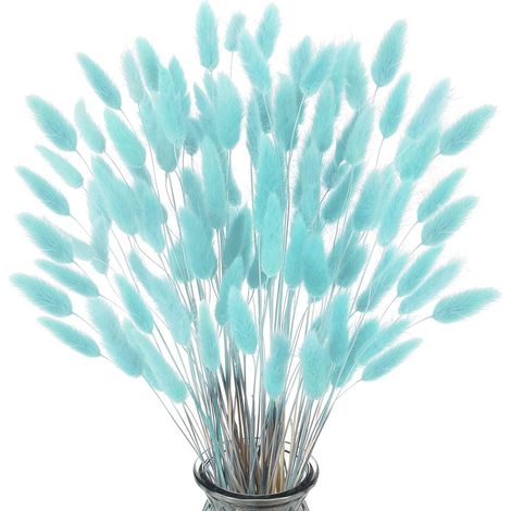 60 pampas naturelles bleu tiffany de 50-60 cm, herbe de queue de lapin pour déco bohème maison